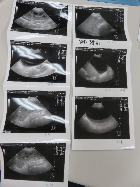 ファイル 5011-4.jpg