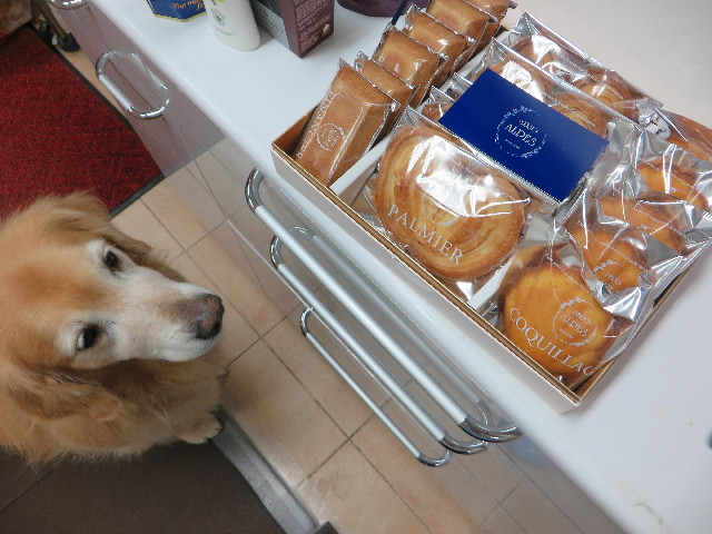 ファイル 5012-5.jpg