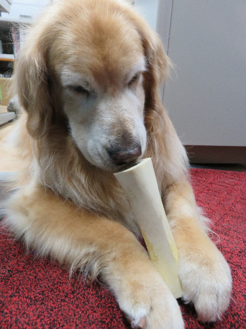 ファイル 5013-2.jpg