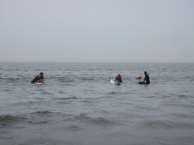 ファイル 5016-3.jpg