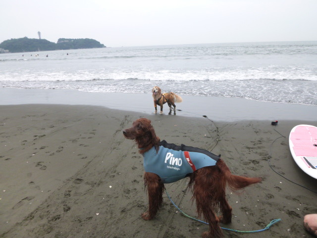 ファイル 5016-4.jpg