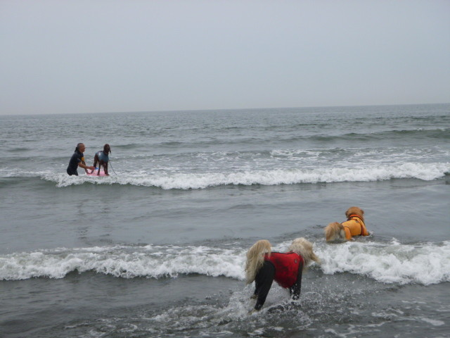 ファイル 5016-5.jpg