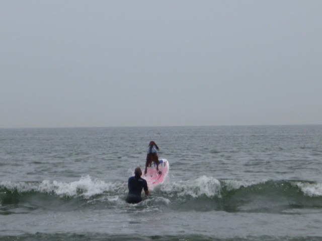 ファイル 5017-1.jpg