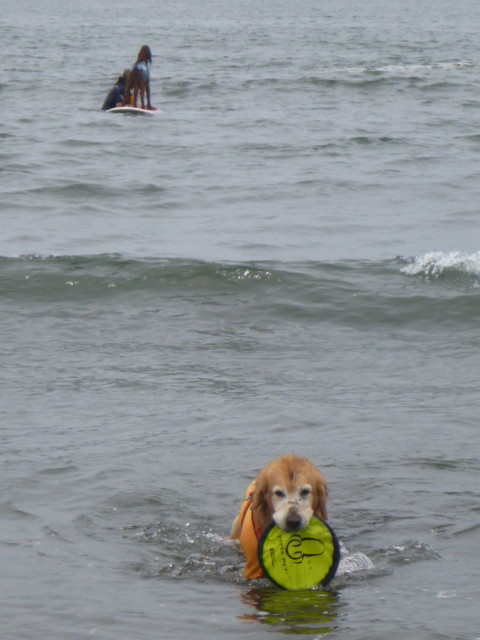 ファイル 5017-3.jpg