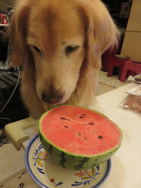 ファイル 5019-1.jpg