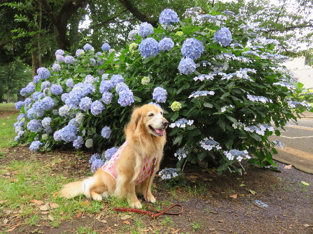 ファイル 5022-5.jpg