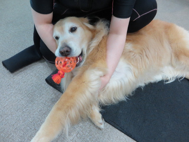 ファイル 5025-2.jpg