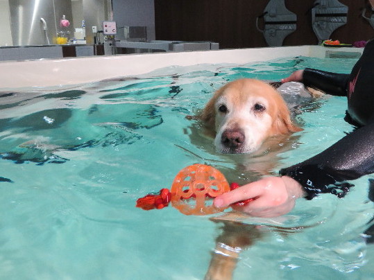 ファイル 5025-3.jpg