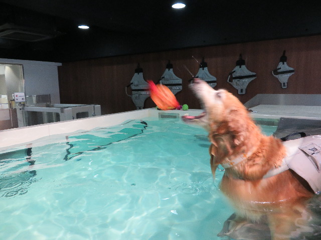 ファイル 5025-4.jpg