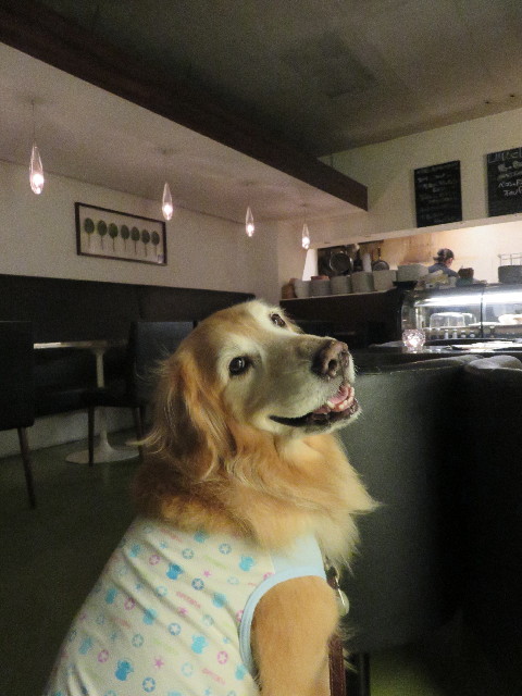 ファイル 5026-3.jpg