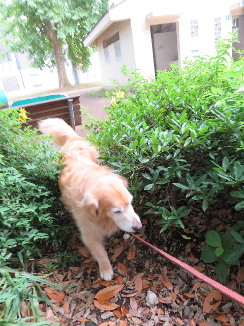 ファイル 5026-5.jpg