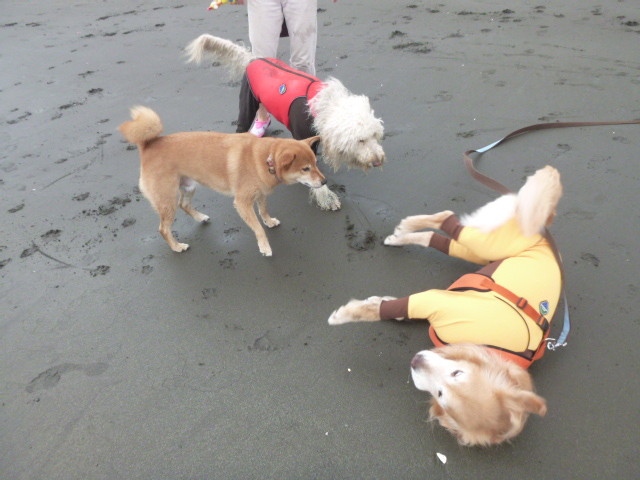 ファイル 5027-2.jpg