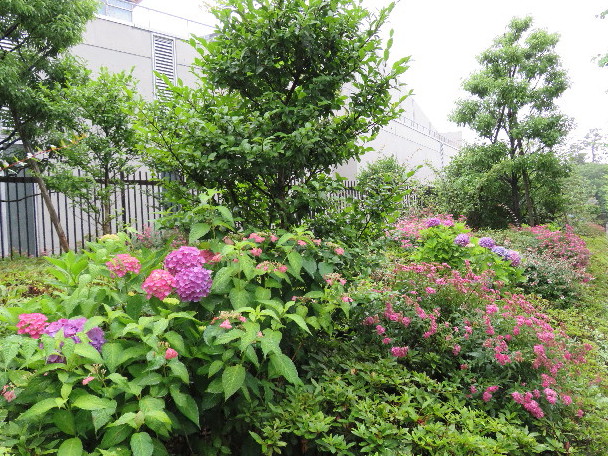 ファイル 5028-1.jpg