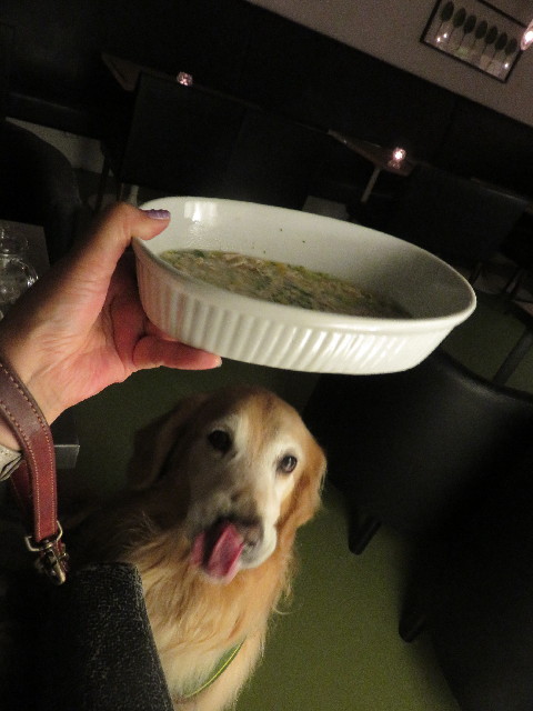 ファイル 5032-1.jpg