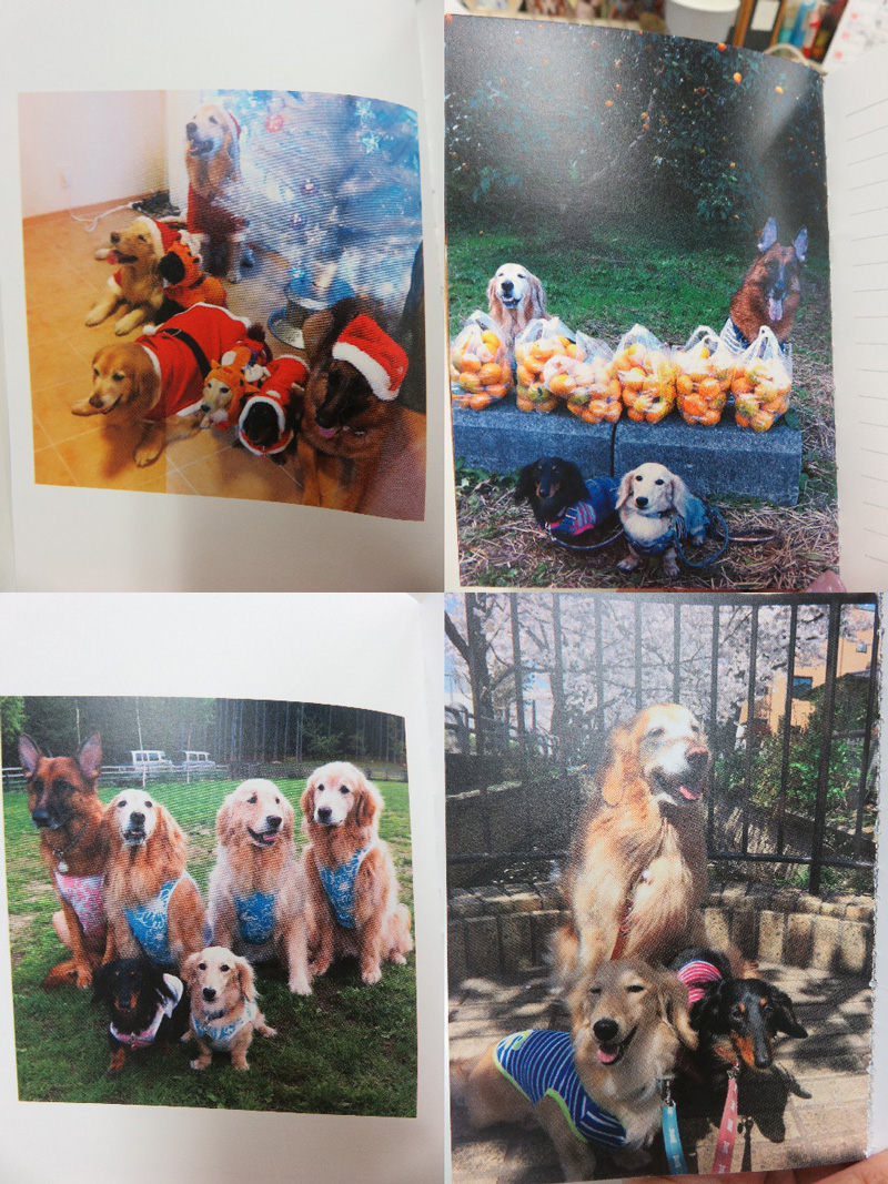 ファイル 5032-4.jpg