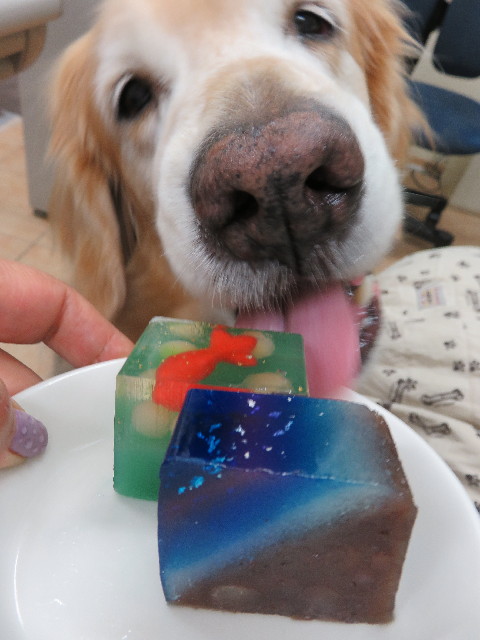 ファイル 5033-4.jpg