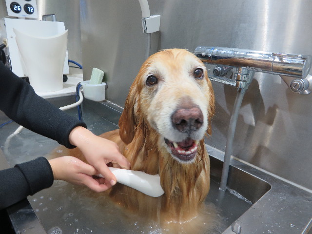 ファイル 5034-5.jpg