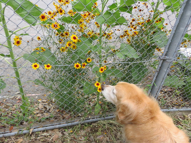 ファイル 5035-1.jpg