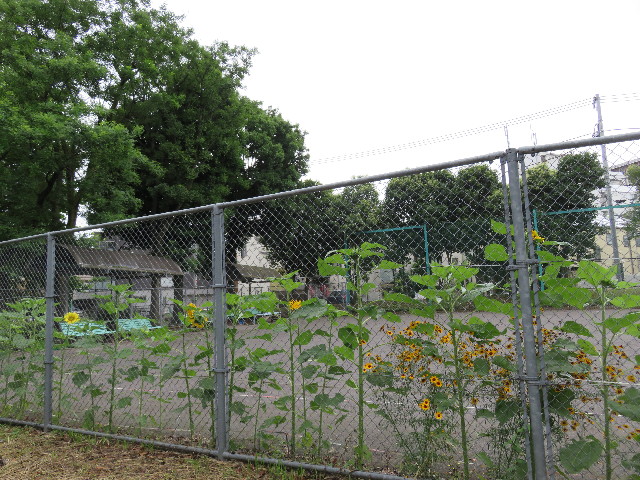 ファイル 5035-2.jpg