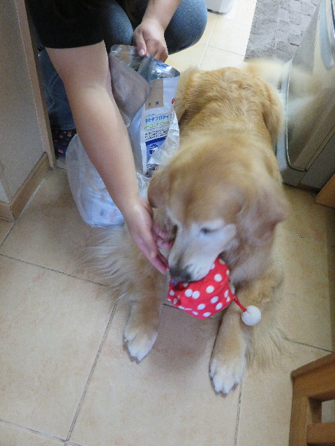 ファイル 5035-3.jpg