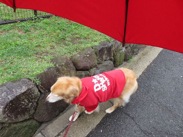 ファイル 5035-4.jpg