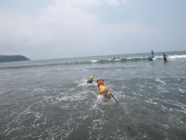 ファイル 5036-2.jpg