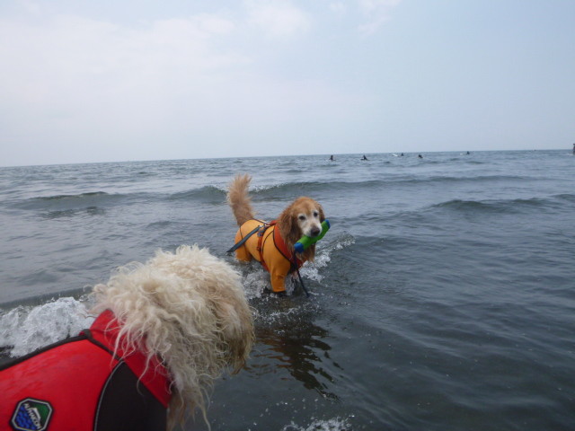 ファイル 5036-4.jpg