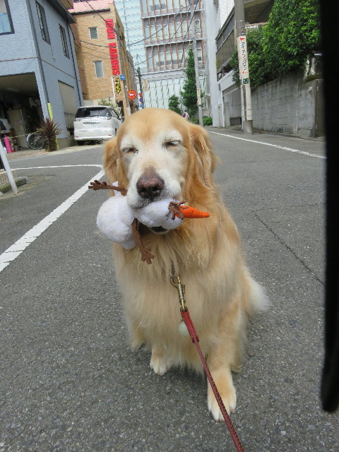 ファイル 5037-2.jpg