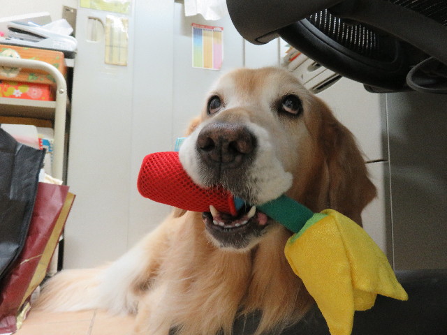 ファイル 5037-3.jpg