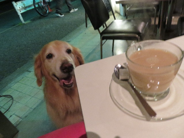 ファイル 5038-1.jpg