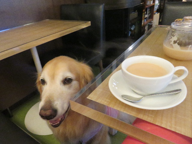 ファイル 5038-2.jpg