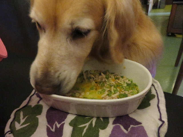 ファイル 5038-3.jpg