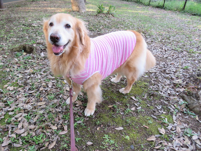 ファイル 5039-1.jpg