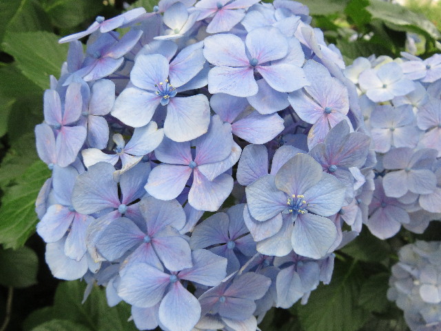 ファイル 5039-2.jpg