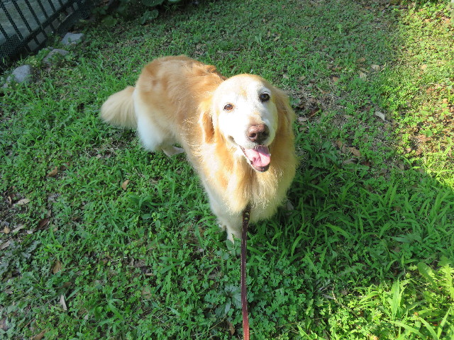 ファイル 5039-5.jpg