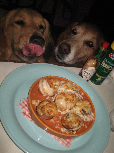 ファイル 504-3.jpg