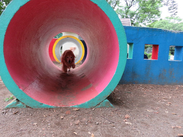 ファイル 5040-2.jpg