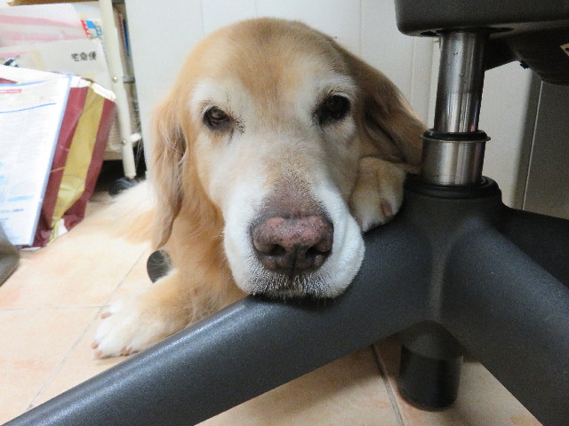 ファイル 5042-3.jpg