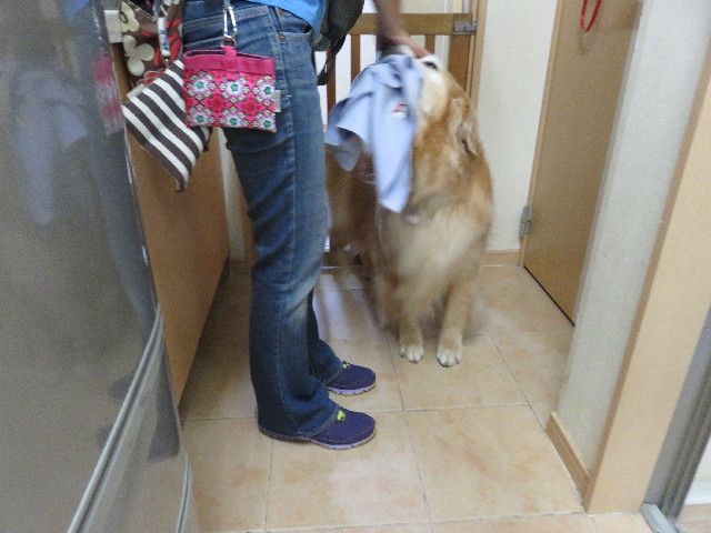 ファイル 5042-4.jpg