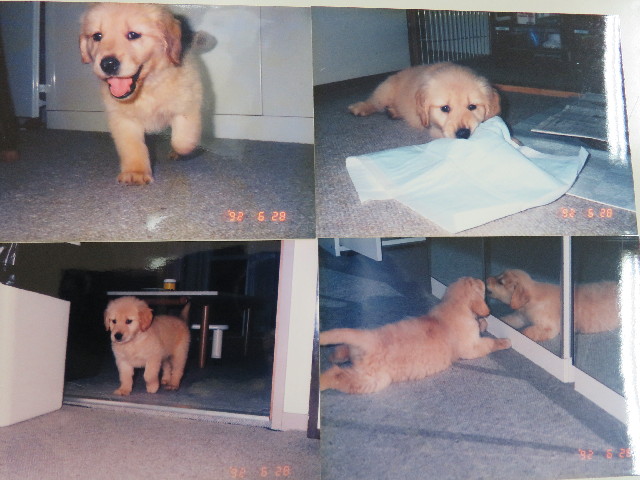 ファイル 5043-1.jpg