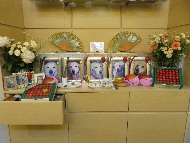 ファイル 5043-4.jpg