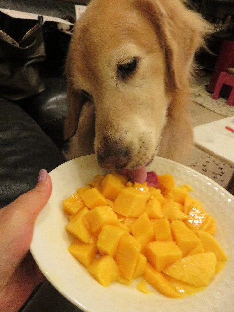 ファイル 5044-4.jpg