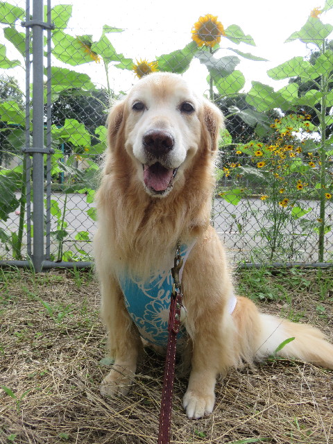 ファイル 5045-2.jpg