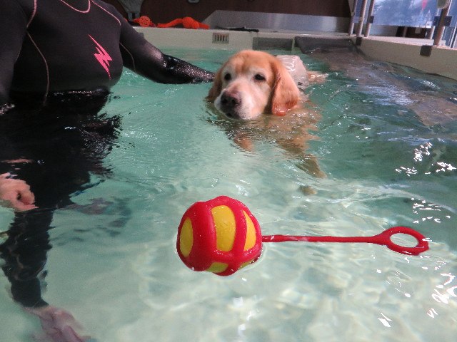 ファイル 5046-3.jpg