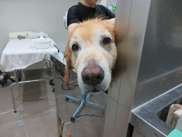 ファイル 5046-5.jpg