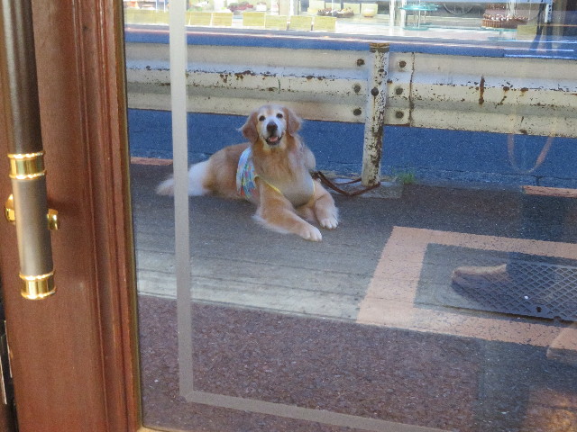 ファイル 5047-5.jpg