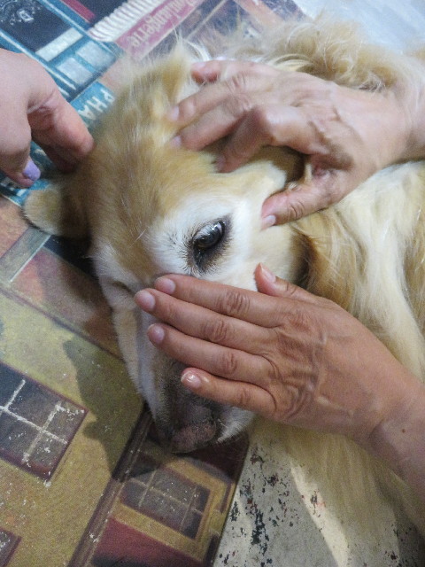 ファイル 5048-2.jpg