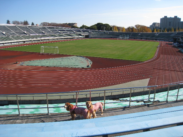 ファイル 505-1.jpg