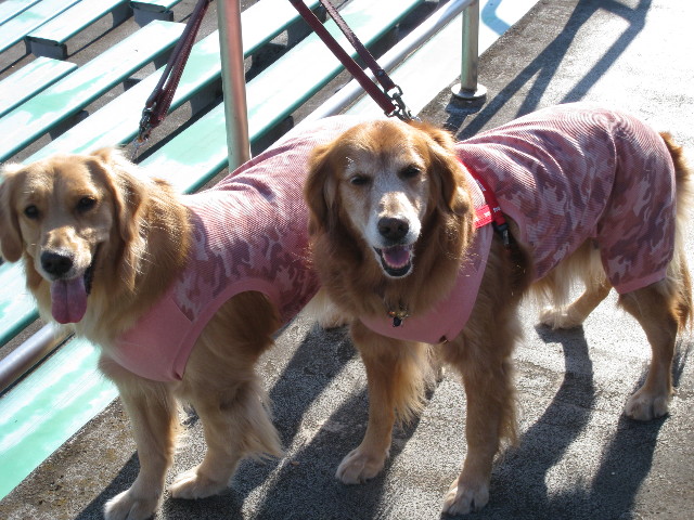 ファイル 505-3.jpg