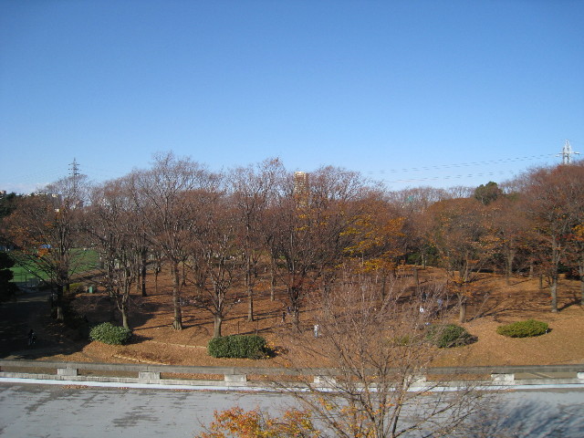 ファイル 505-4.jpg